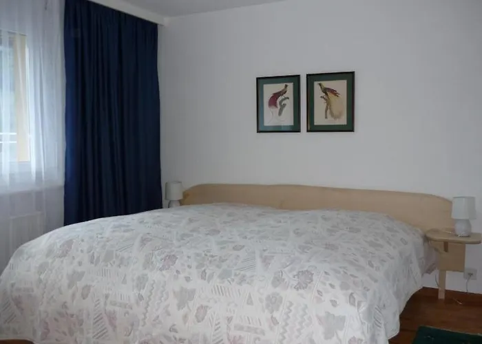 Appartement Adler 92 Leukerbad